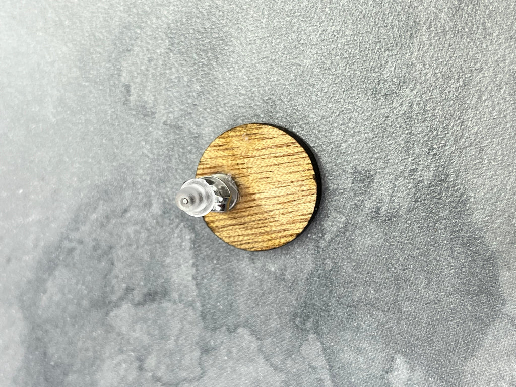 Rainbow Earrings - Wood Stud Earrings