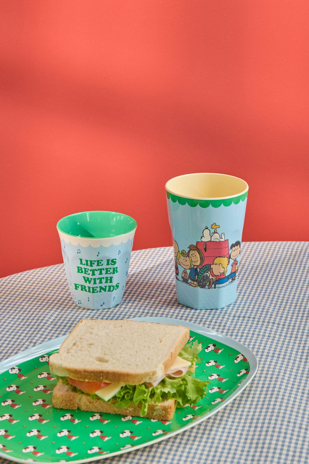 Rectangular Plate with Snoopy Print - Green -