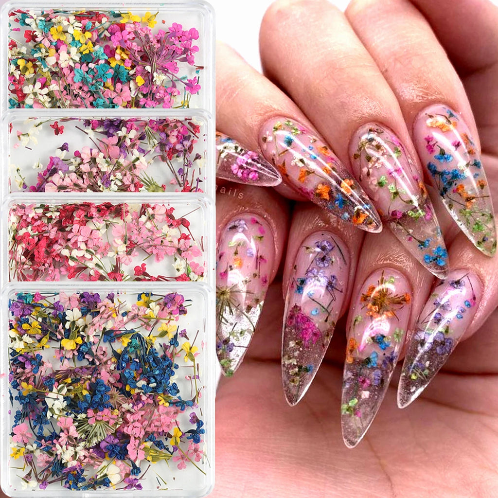 Mixed Colorful Natural Flowers Nail Art Charms Klein Blue Yellow Red Five-petaled Flower Natural Floral Manicure Accessories