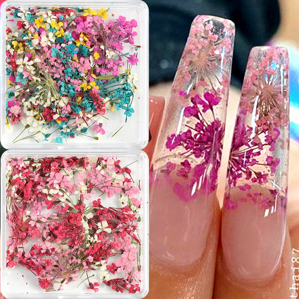 Mixed Colorful Natural Flowers Nail Art Charms Klein Blue Yellow Red Five-petaled Flower Natural Floral Manicure Accessories