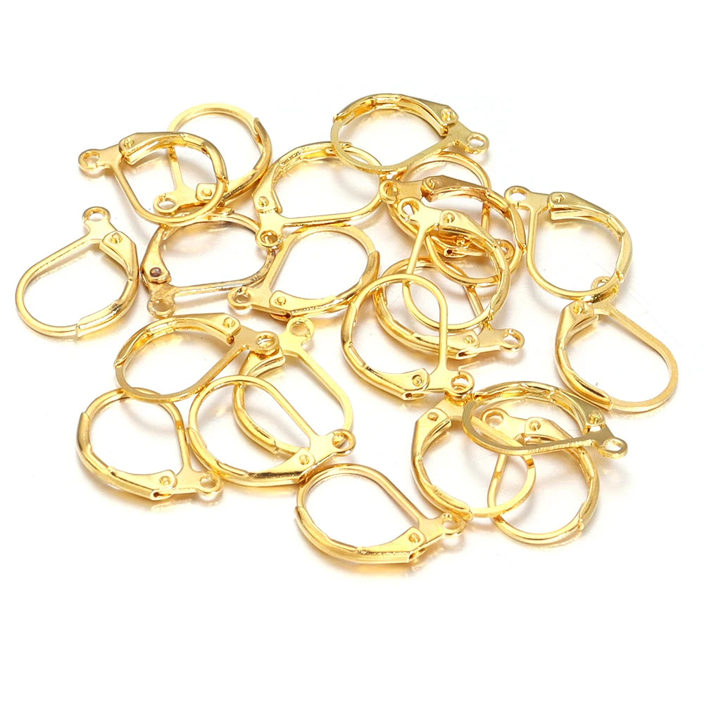 50pcs/lot Hypoallergenic Earring Hooks French Lever back Earwire Stainless Steel Earrings Clasp for Jewelry Making Findings