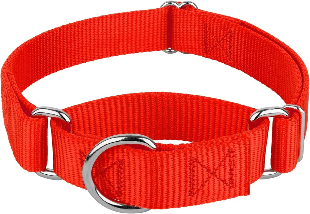 Martingale Dog Collar for Small to Large Breeds, Adjustable Heavy Duty Nylon Half Choking Training Collar for Pulling Dogs
