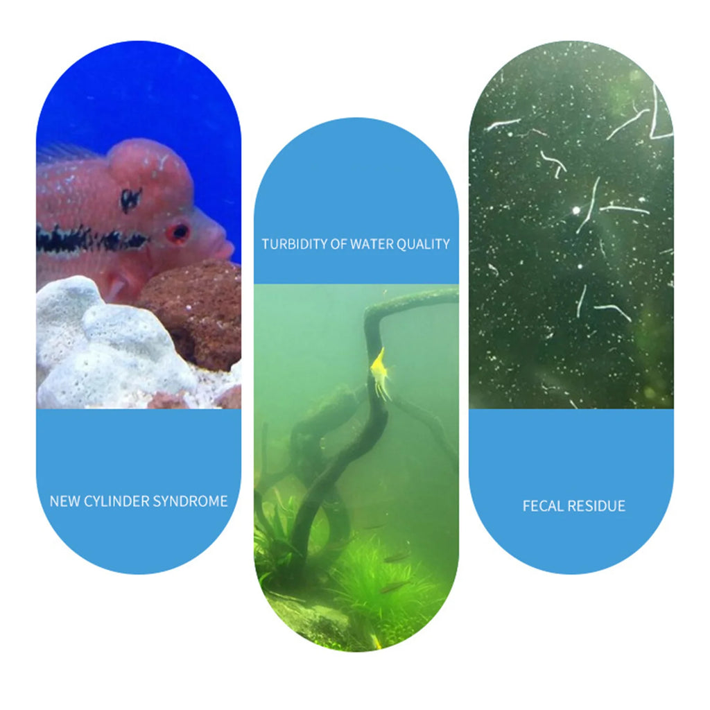 Aquarium Nitrifying Nitrobacteria Powder Biofilter Starter Powder for Freshwater Aquariums Effectively Remove Fish Waste