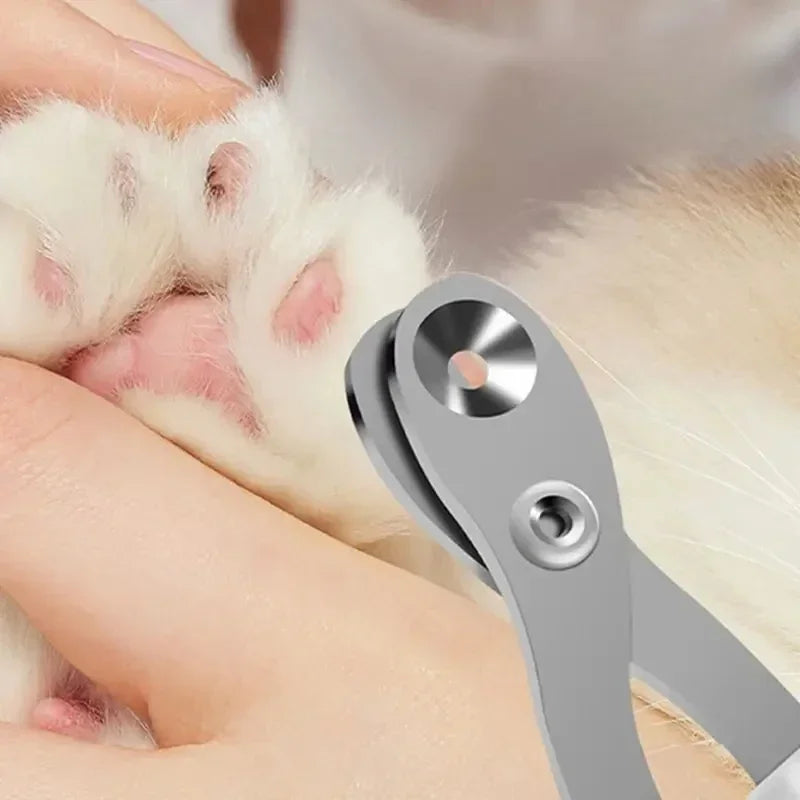 cat small animal nail clippers for cats pet stainless steel nail clipper dog and cat supplies