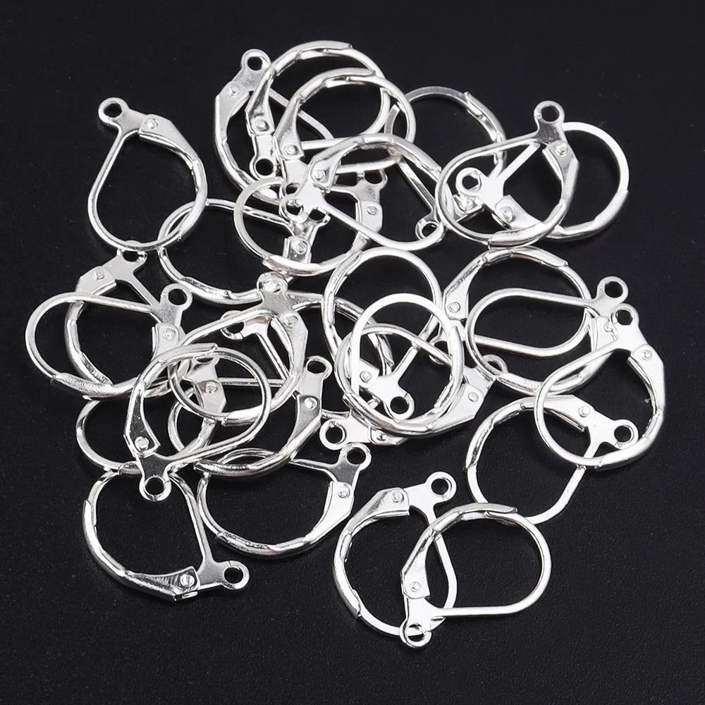 50pcs/lot Hypoallergenic Earring Hooks French Lever back Earwire Stainless Steel Earrings Clasp for Jewelry Making Findings