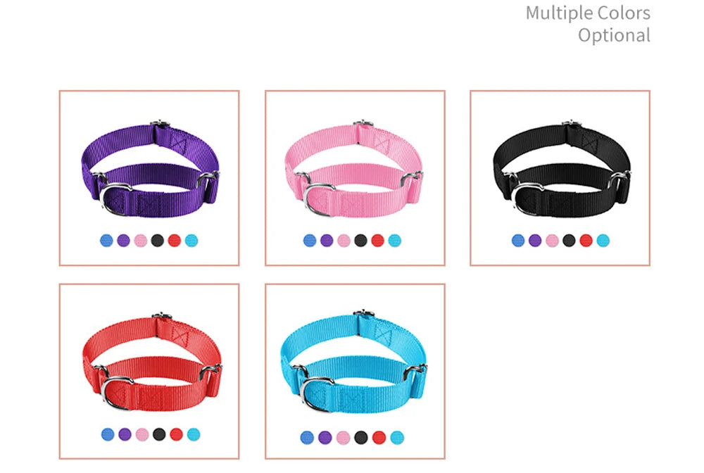 Martingale Dog Collar for Small to Large Breeds, Adjustable Heavy Duty Nylon Half Choking Training Collar for Pulling Dogs