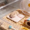 Square Hamster Cooling Pad Chew-proof and Tip-resistant Cooling Mat Cooling Pad for Hamsters Small Pet Easy To Clean