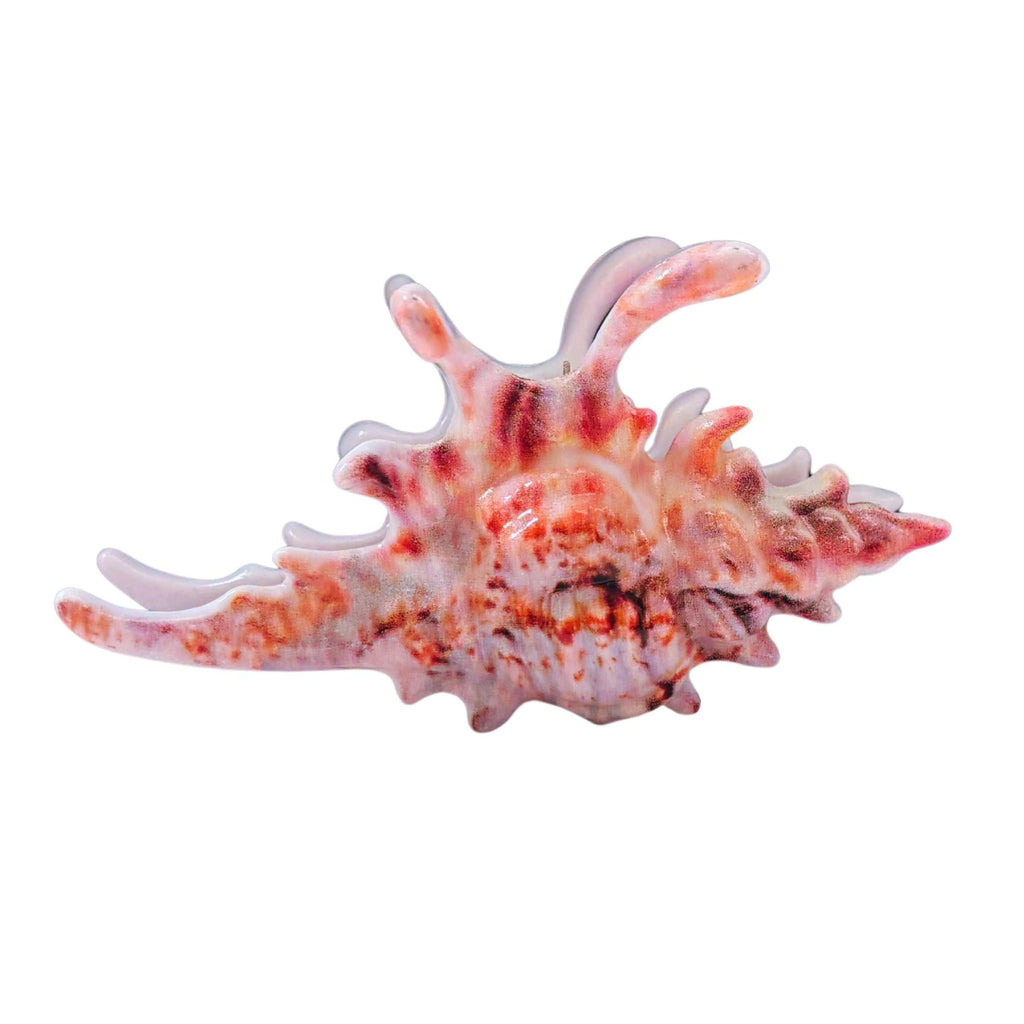 Velvet Claws Realistic Conch Shell Hair Claw in Natural Brown and White
